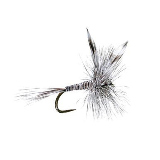 3 Pack Barbless Mosquito Classic Trout Dry Fly Fishing Flies - Hook Size 12 - Hazy Fly Fishing