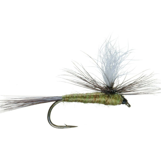 3 Pack Blue Wing Olive BWO Parachute Dry Fly - Hook Size 14 - Hazy Fly Fishing