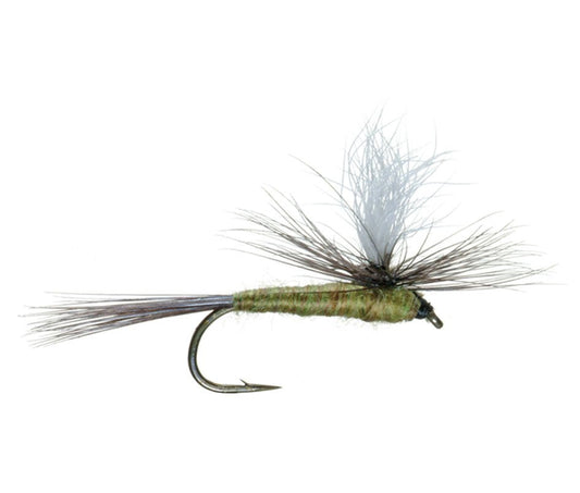 3 Pack Blue Wing Olive BWO Parachute Dry Fly - Hook Size 14 - Hazy Fly Fishing