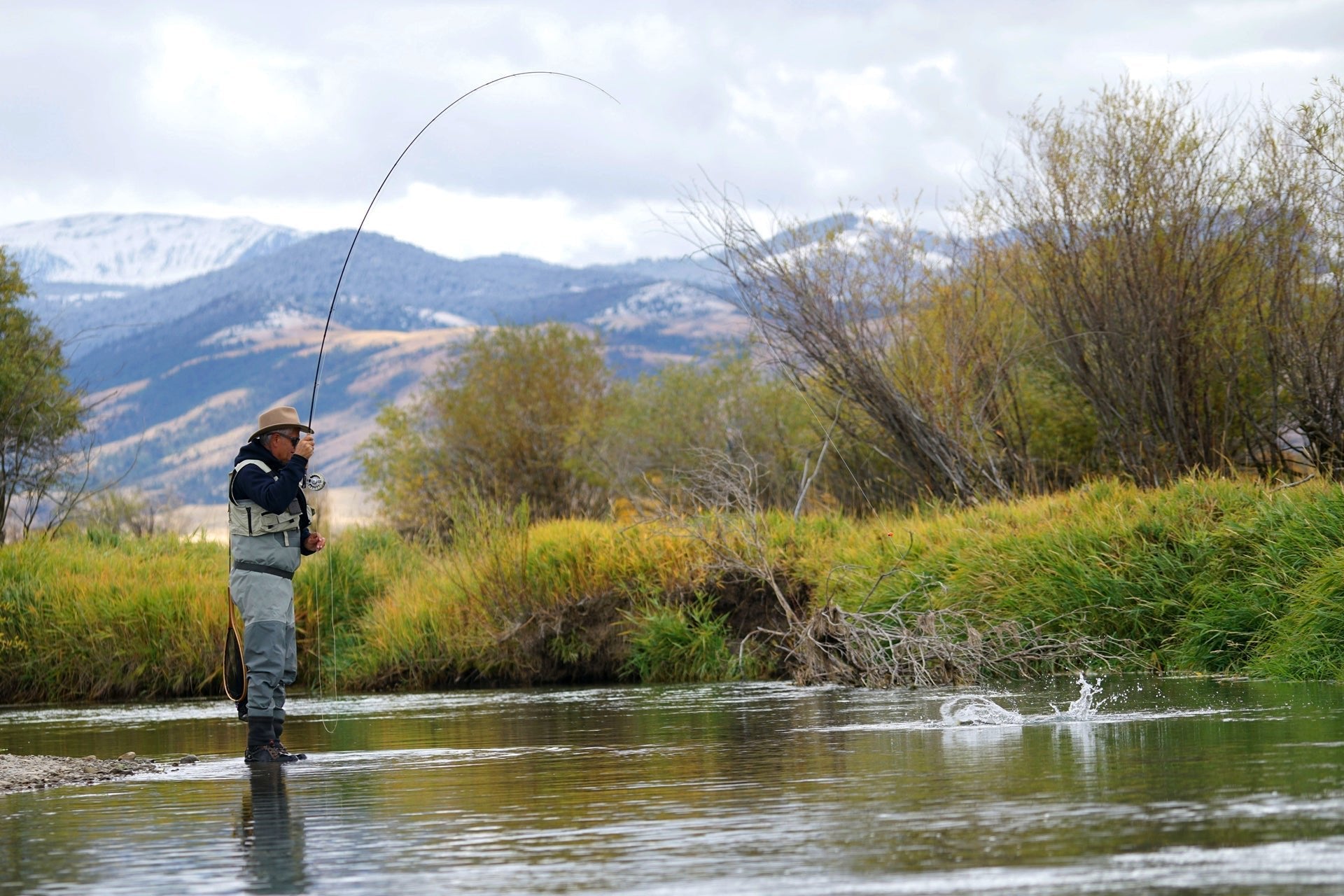 3 Pack Kaufmann's Royal Crystal Stimulator Rubber Legs Dry Fly - Hook Size 14 - Hazy Fly Fishing