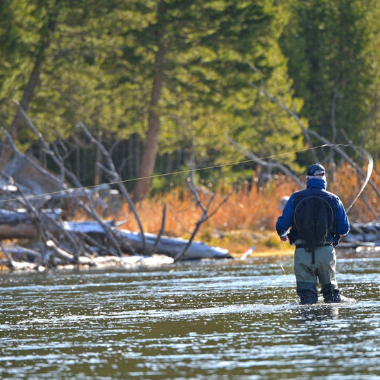 3 Pack Kaufmann's Yellow Crystal Stimulator Rubber Legs Dry Fly - Hook Size 8 - Hazy Fly Fishing