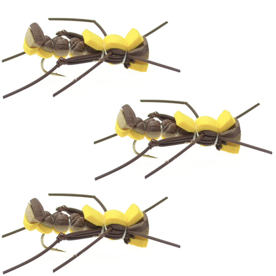 3 Pack Mantis BLT Foam Body Grasshopper Fly - Hook Size 10 - Hazy Fly Fishing