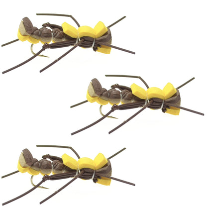 3 Pack Mantis BLT Foam Body Grasshopper Fly - Hook Size 10 - Hazy Fly Fishing