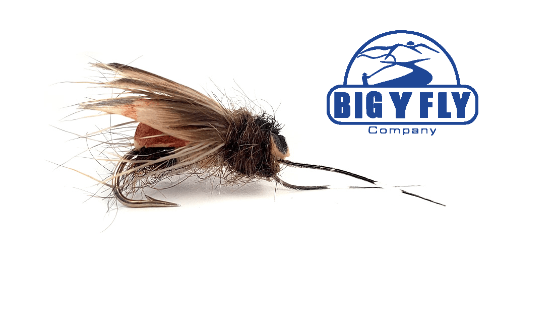 5 Minute Caddis - Hazy Fly Fishing