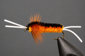 Bitch Creek Stonefly