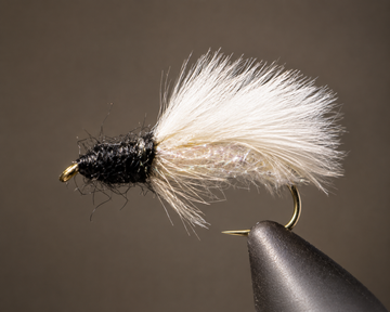 Caddis Pupa