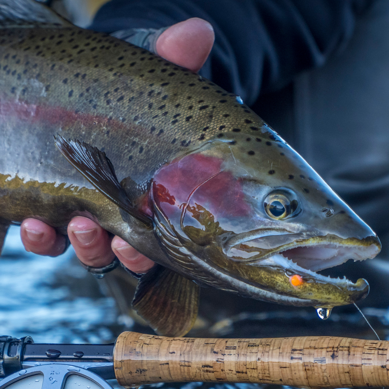 Hazy Fly Fishing