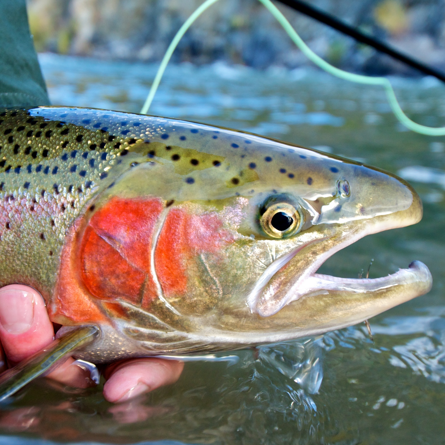 Hazy Fly Fishing