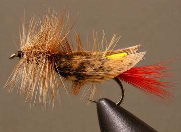 Joe's Hopper
