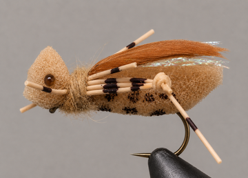 Leopard Foam Hopper