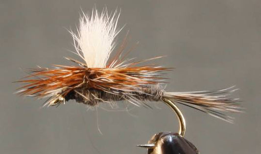 Adams Dry Fly - Standard & Parachute - Hazy Fly Fishing