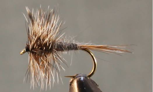 Adams Dry Fly - Standard & Parachute - Hazy Fly Fishing