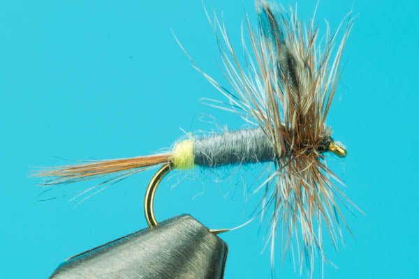 Adams Female - Hazy Fly Fishing