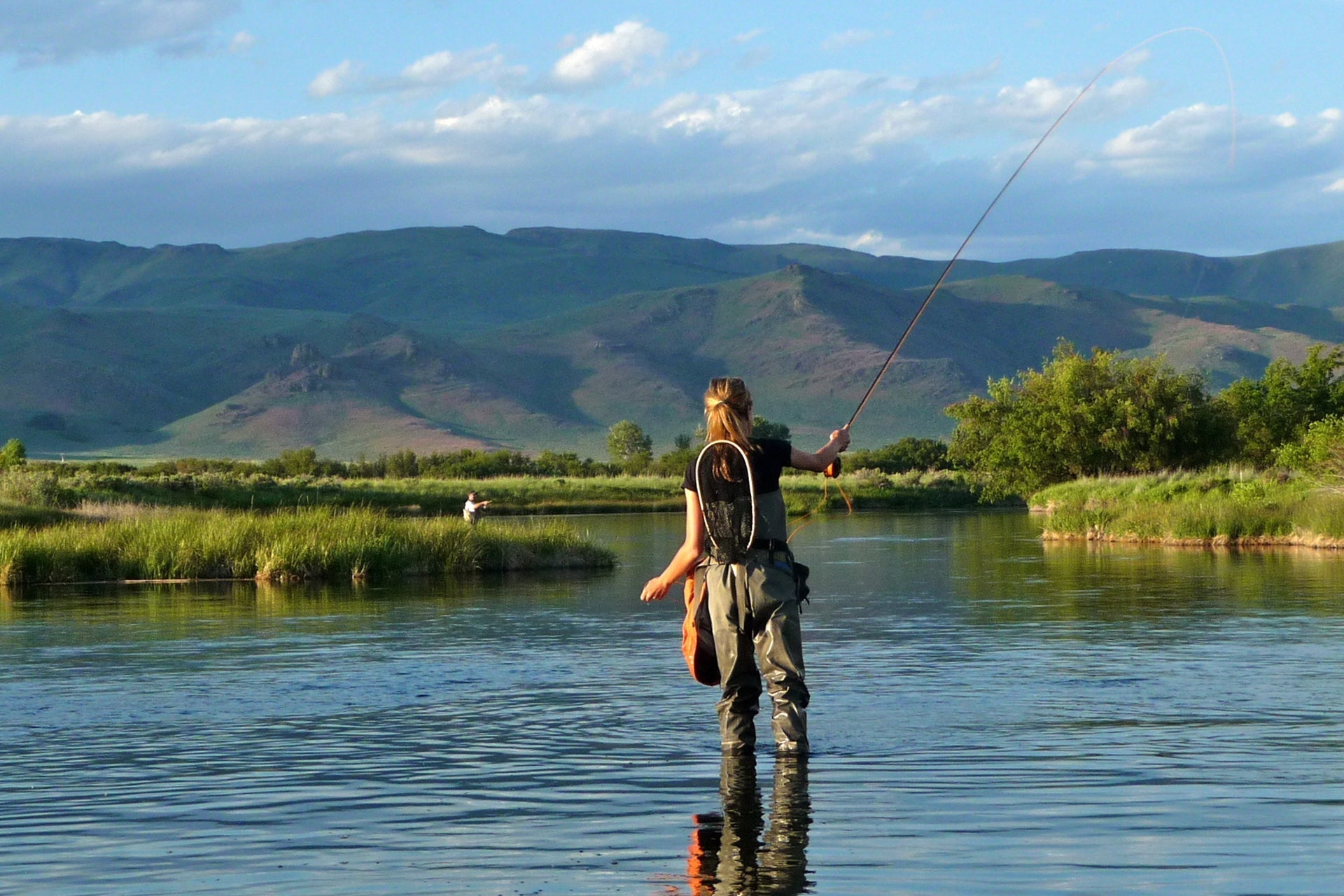 Adams Female Classic Dry Fly - 1 Dozen Flies - Hook Size 14 - Hazy Fly Fishing