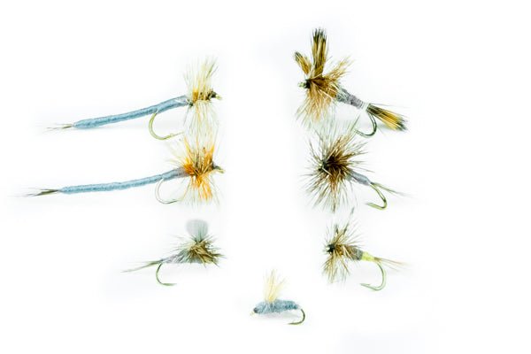 Adams Fly Assortment - 24 Flies 1 - Hazy Fly Fishing