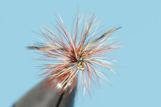 Adams Spent Wing - Hazy Fly Fishing