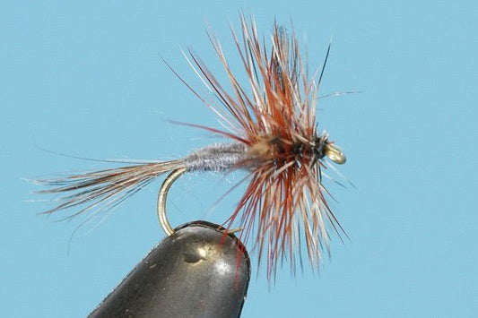 Adams Spent Wing - Hazy Fly Fishing
