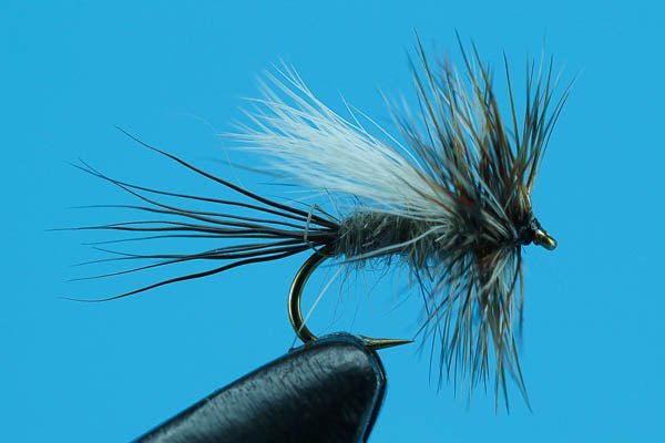 Adams Trude - Hazy Fly Fishing