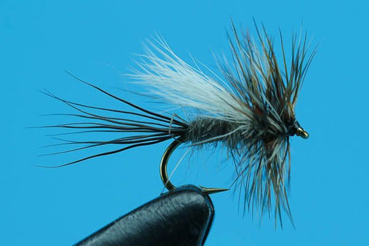 Adams Trude - Hazy Fly Fishing