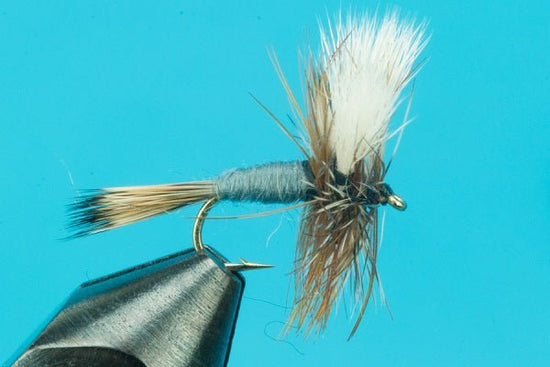 Adams Wulff White Wings - Hazy Fly Fishing