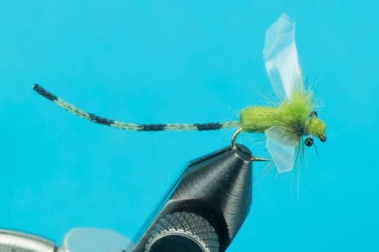Adult Damsel - Hazy Fly Fishing