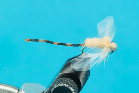 Adult Damsel - Hazy Fly Fishing
