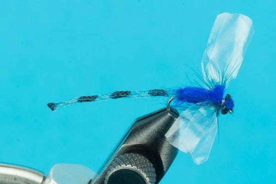 Adult Damsel - Hazy Fly Fishing