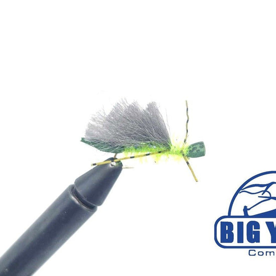Adult Stillwater Caddis - Hazy Fly Fishing