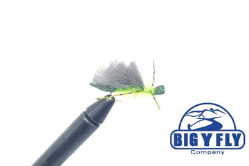 Adult Stillwater Caddis - Hazy Fly Fishing