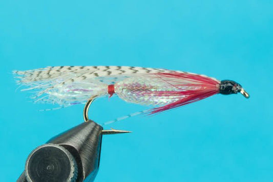Alaskan Smolt - Hazy Fly Fishing