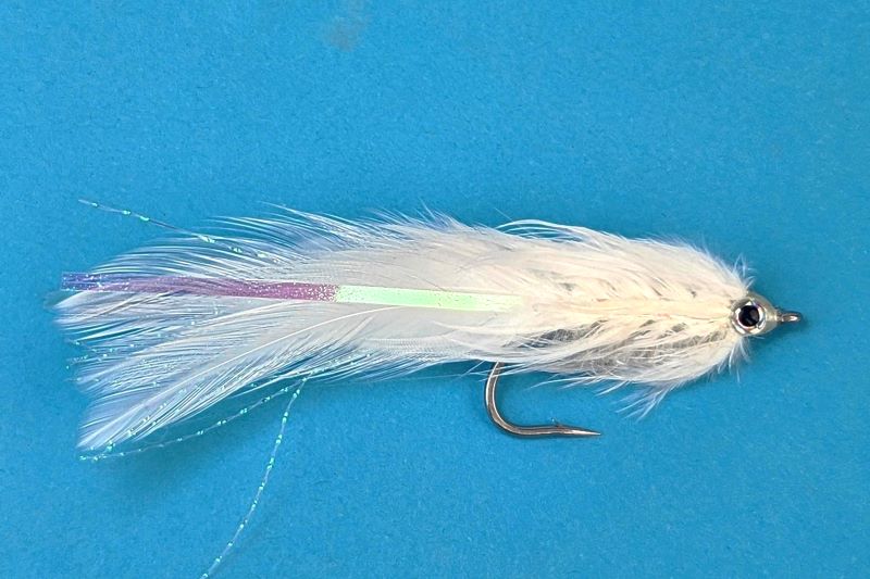 Albie Shore - Hazy Fly Fishing
