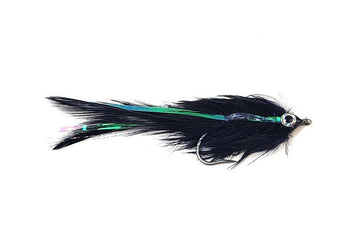 Albie Shore - Hazy Fly Fishing