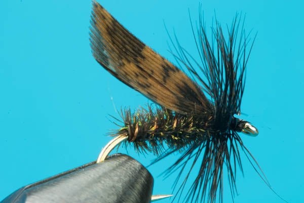 Alder Dry Fly - Hazy Fly Fishing