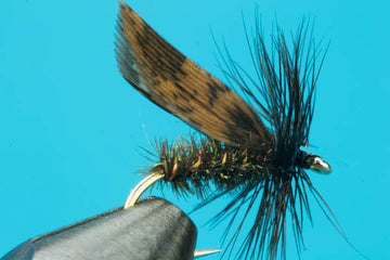 Alder Dry Fly - Hazy Fly Fishing
