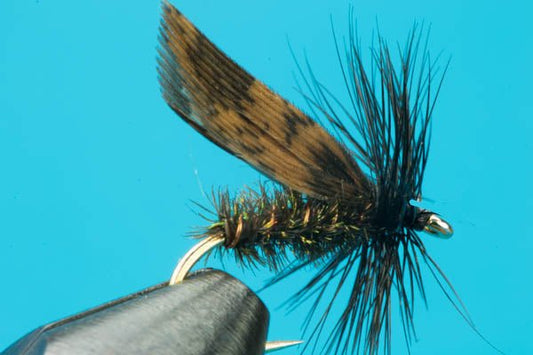 Alder Dry Fly - Hazy Fly Fishing