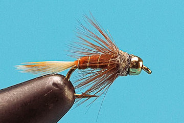 Alder Larva - Beadhead - Hazy Fly Fishing