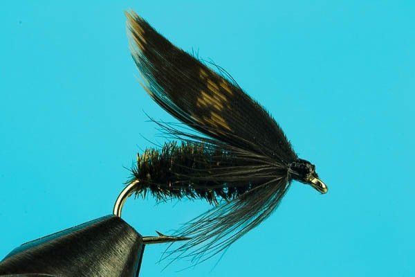 Alder Wet Fly - Hazy Fly Fishing