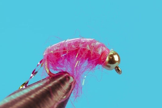 All Season Scud - Hazy Fly Fishing