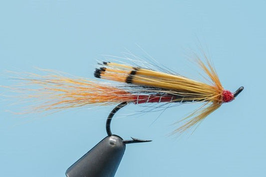 Ally Shrimp - Hazy Fly Fishing