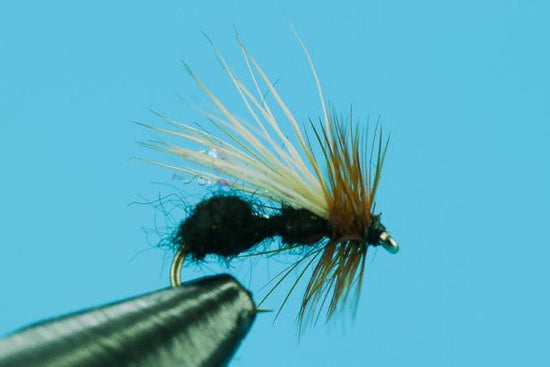 Alpine Ant - Hazy Fly Fishing