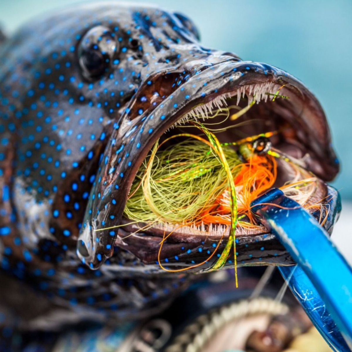 Aluminum Lippa4Life - Hazy Fly Fishing