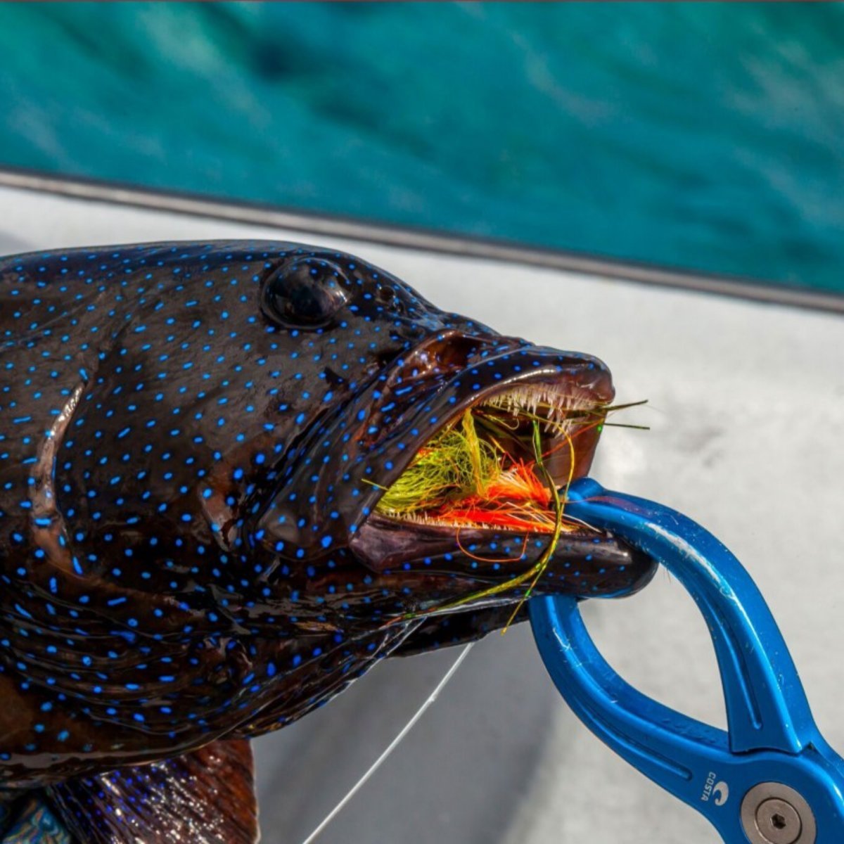 Aluminum Lippa4Life - Hazy Fly Fishing
