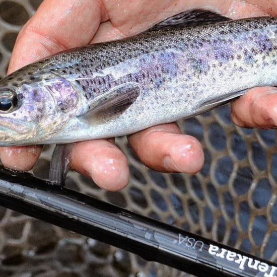 AMAGO™ 13ft6in (410cm) - Hazy Fly Fishing