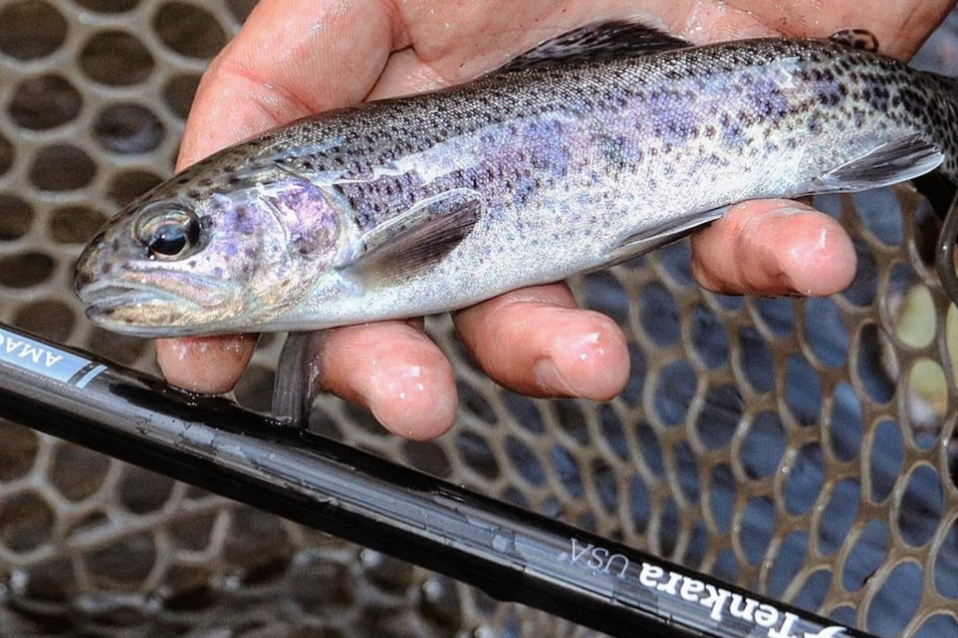 AMAGO™ 13ft6in (410cm) - Hazy Fly Fishing