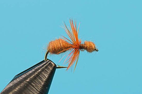 Ant - Hazy Fly Fishing