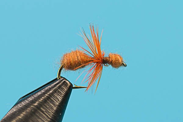 Ant - Hazy Fly Fishing