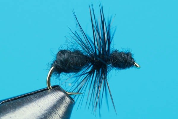 Ant - Hazy Fly Fishing
