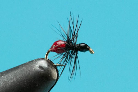 Ant Epoxy - Hazy Fly Fishing