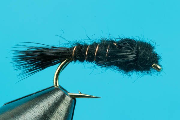 AP Nymph - Hazy Fly Fishing