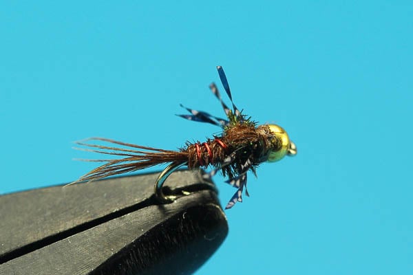 Atomic Pheasant Tail - Beadhead - Hazy Fly Fishing